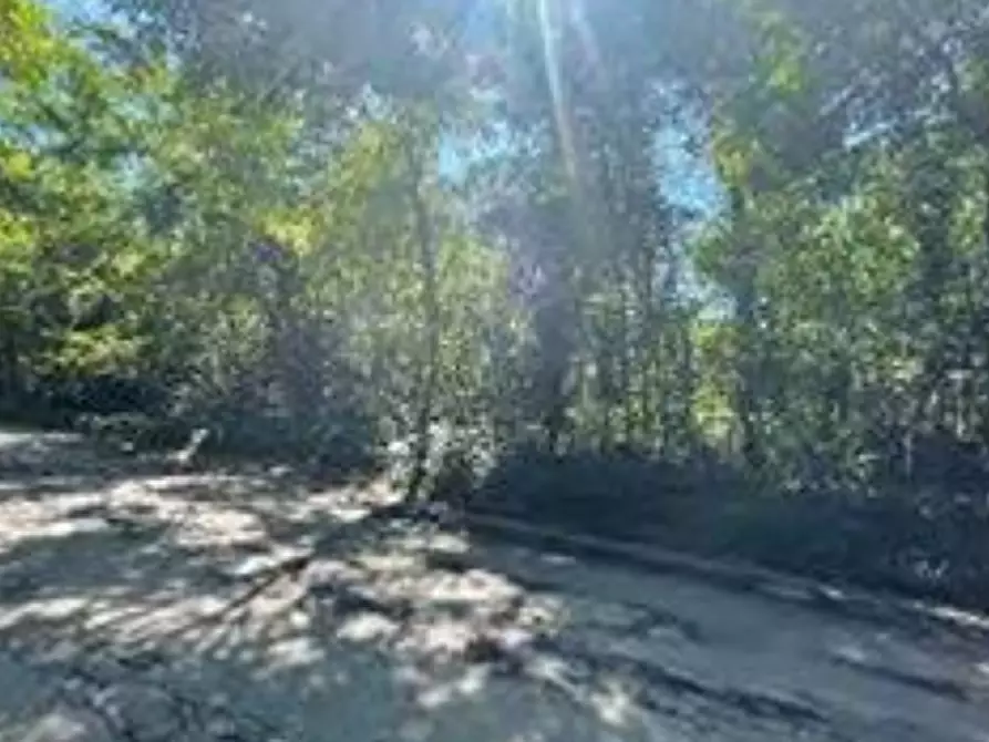 Immagine 1 di Terreno agricolo in vendita  in Via Cristoforo Colombo a Somma Lombardo