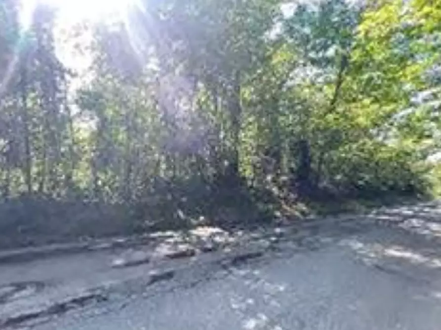 Immagine 2 di Terreno agricolo in vendita  in Via Cristoforo Colombo a Somma Lombardo