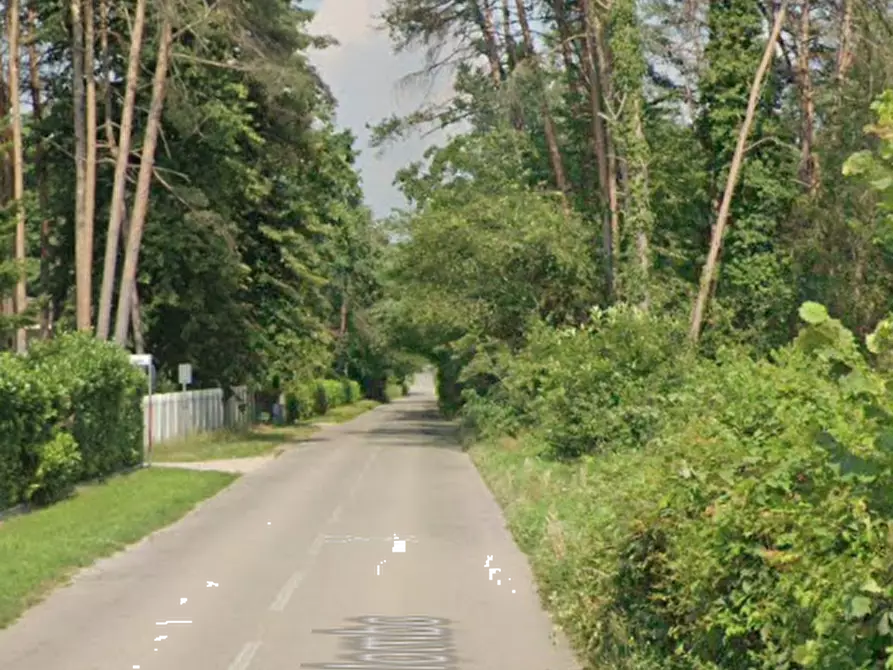 Immagine 3 di Terreno agricolo in vendita  in Via Cristoforo Colombo a Somma Lombardo