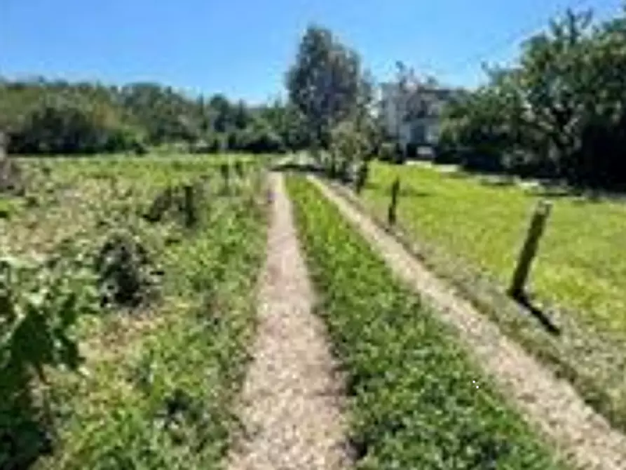 Immagine 1 di Terreno agricolo in vendita  in Via S. Rocco a Somma Lombardo