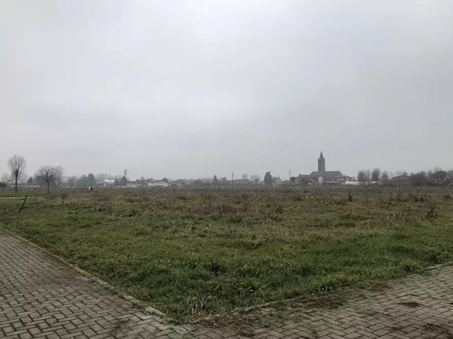 Immagine 3 di Terreno edificabile in vendita  in  Don Arturo Tecchio a Due Carrare