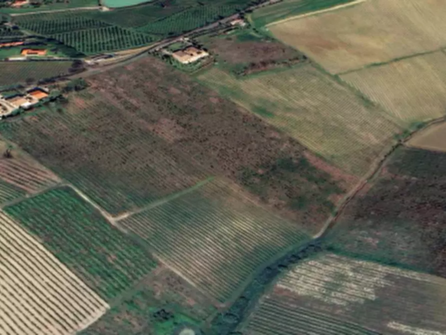 Immagine 2 di Terreno agricolo in vendita  in via Sabbioni a Imola