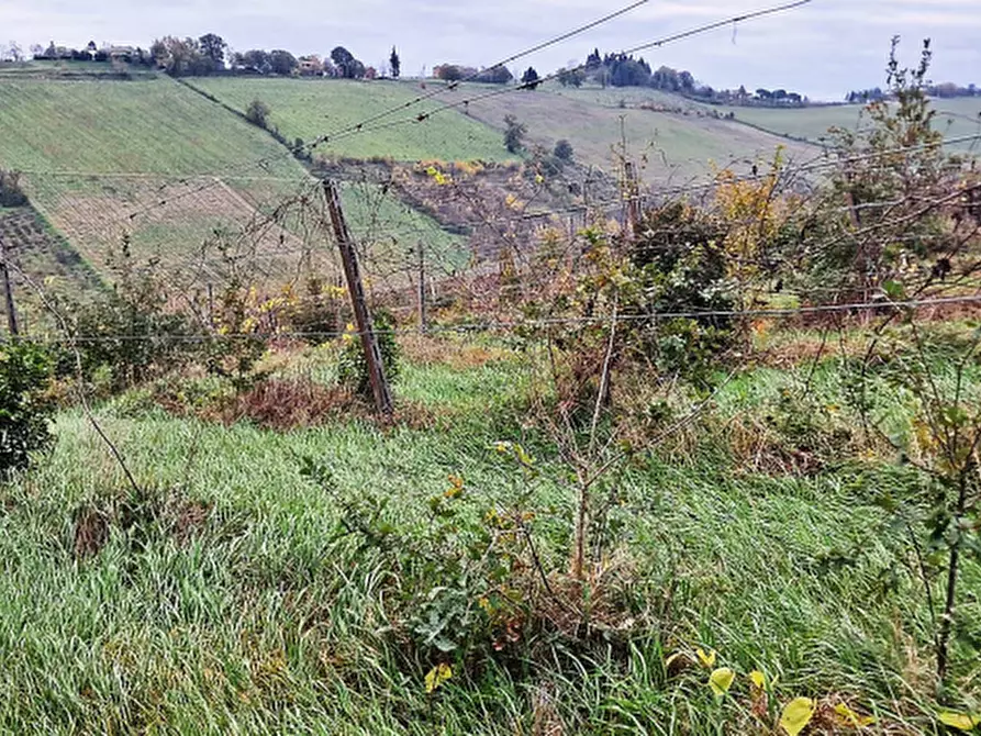 Immagine 5 di Terreno agricolo in vendita  in via Sabbioni a Imola