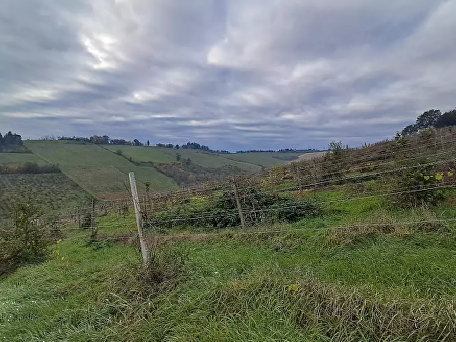 Immagine 6 di Terreno agricolo in vendita  in via Sabbioni a Imola