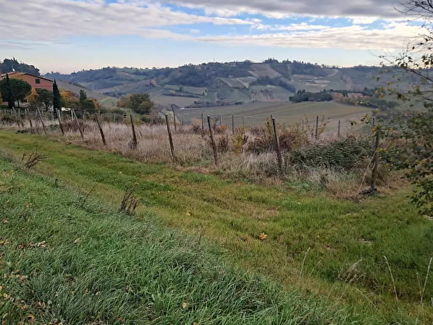 Immagine 8 di Terreno agricolo in vendita  in via Sabbioni a Imola