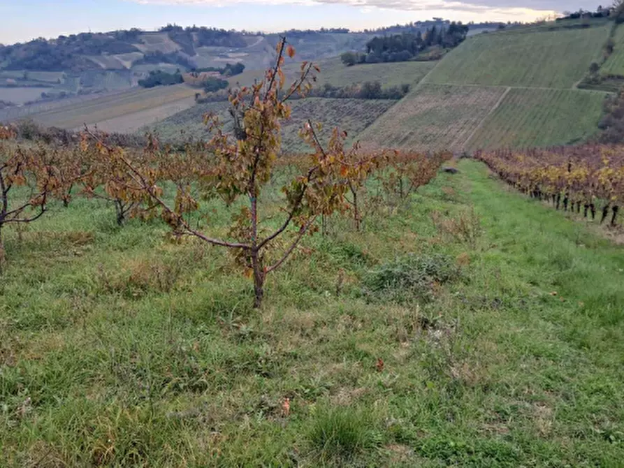 Immagine 11 di Terreno agricolo in vendita  in via Sabbioni a Imola