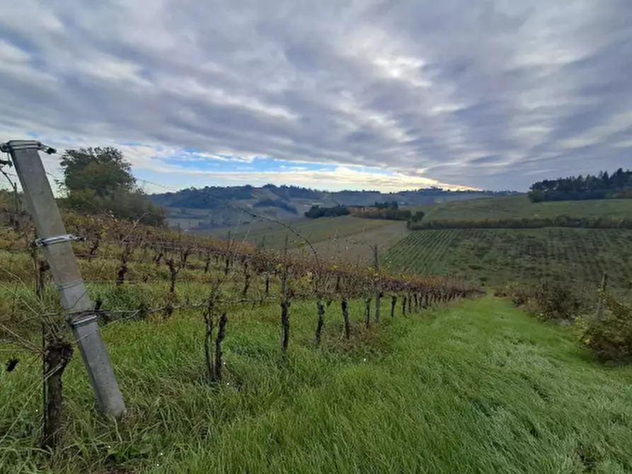 Immagine 12 di Terreno agricolo in vendita  in via Sabbioni a Imola