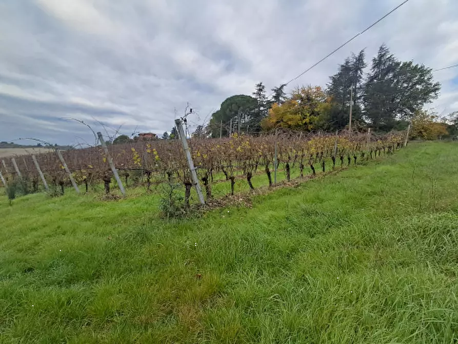 Immagine 1 di Terreno agricolo in vendita  in via Sabbioni a Imola