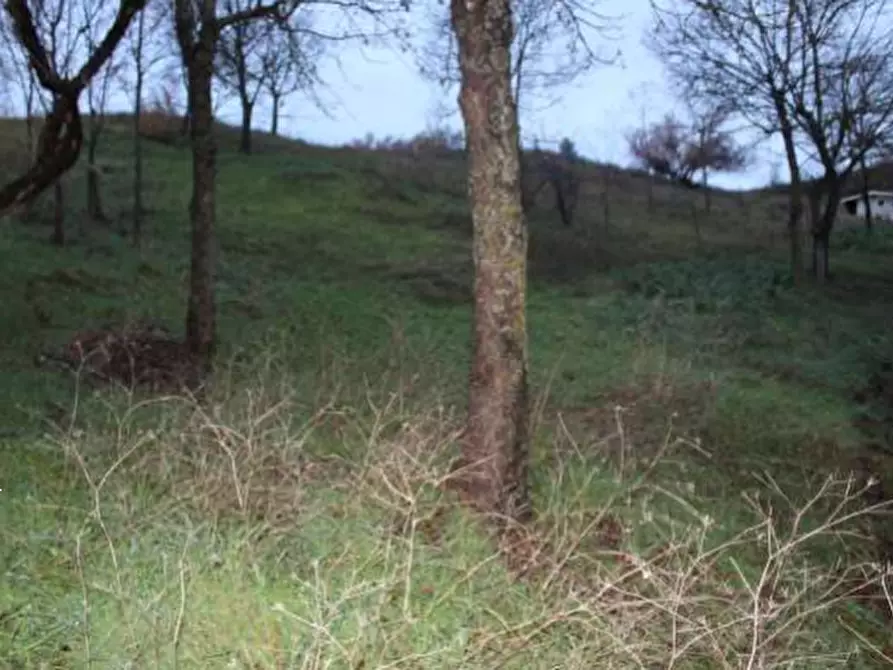 Immagine 3 di Porzione di casa in vendita  in via Viara a Castel San Pietro Terme