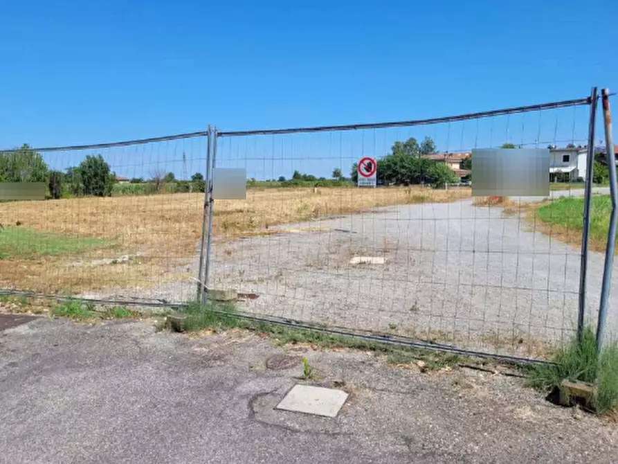 Immagine 4 di Terreno edificabile in vendita  in Via Murri a Molinella