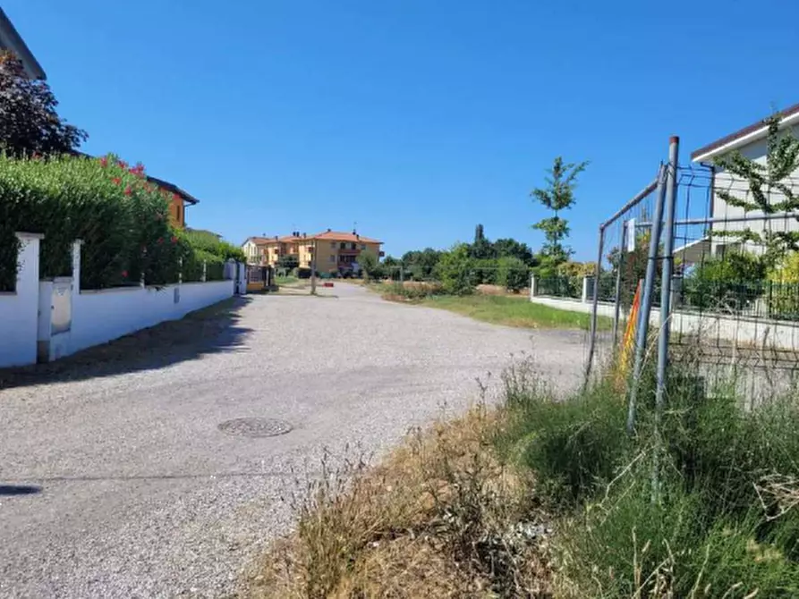 Immagine 6 di Terreno edificabile in vendita  in Via Murri a Molinella