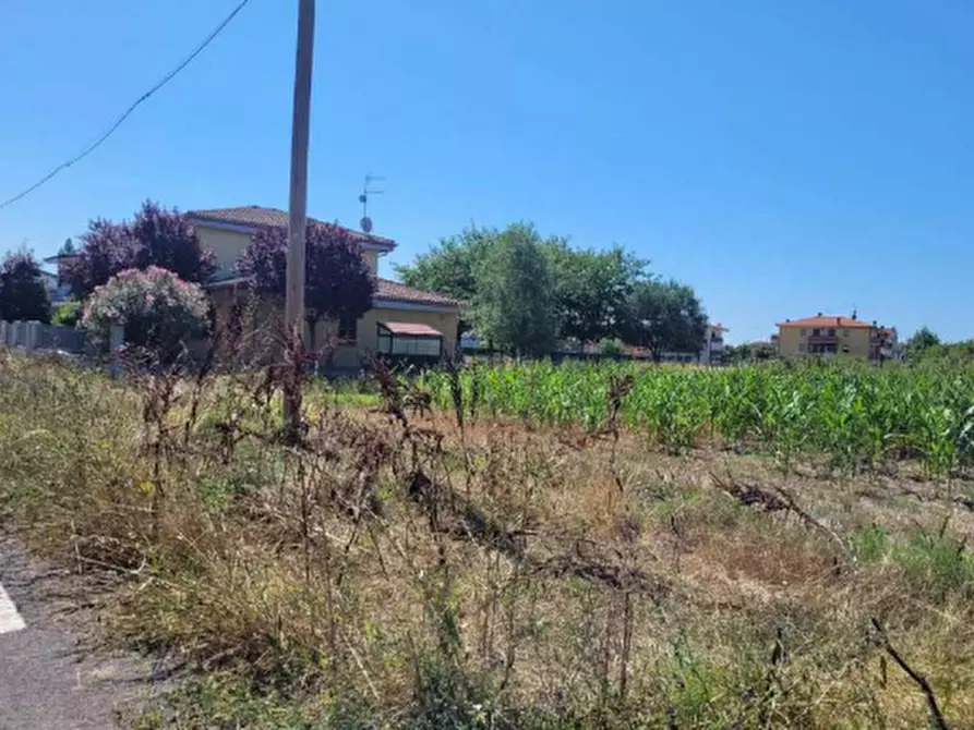 Immagine 8 di Terreno edificabile in vendita  in Via Murri a Molinella