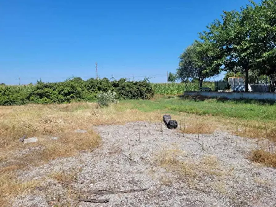 Immagine 11 di Terreno edificabile in vendita  in Via Murri a Molinella