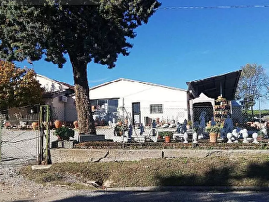 Immagine 5 di Capannone industriale in vendita  in Via Valvagnesca a Sant'ippolito
