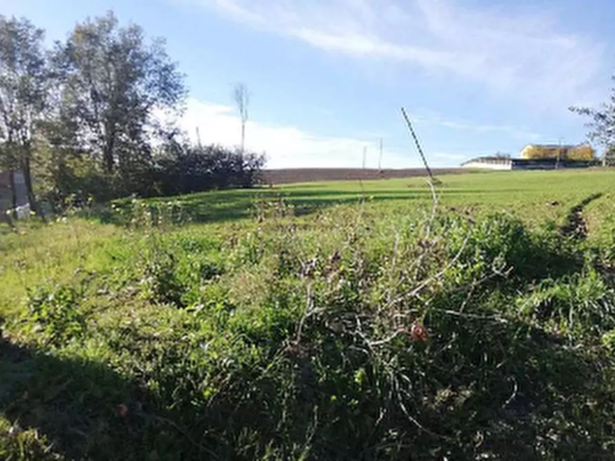 Immagine 9 di Capannone industriale in vendita  in Via Valvagnesca a Sant'ippolito