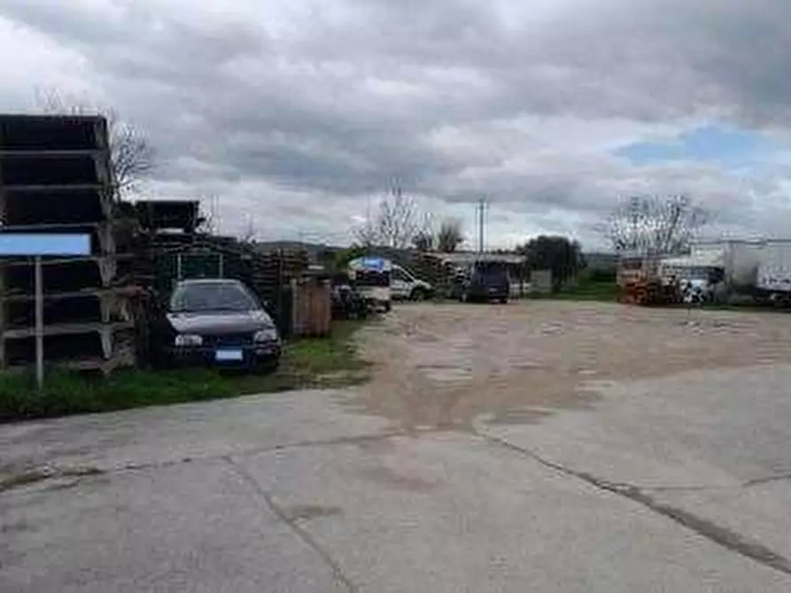 Immagine 7 di Capannone industriale in vendita  in Località Falcineto a Fano