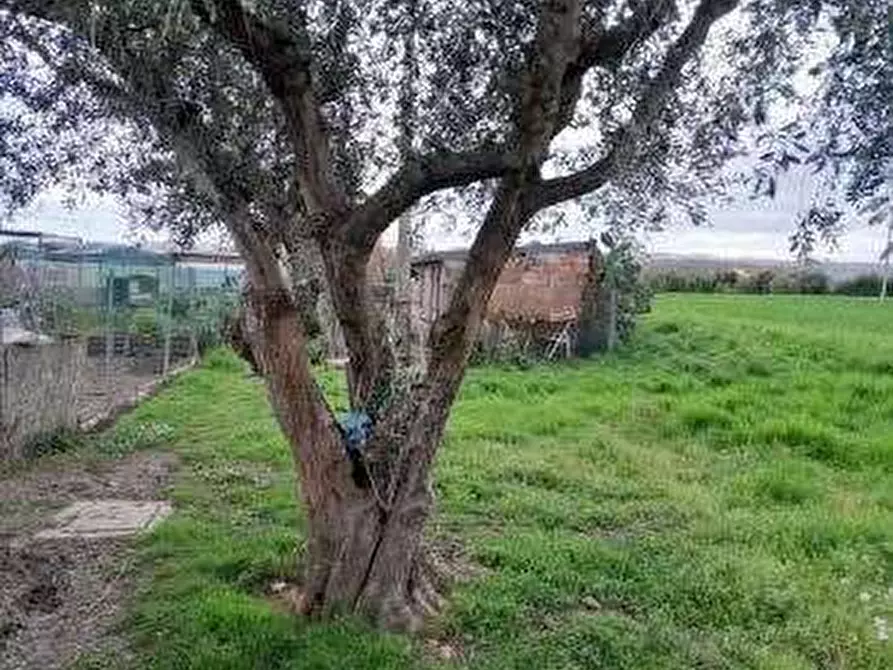 Immagine 11 di Capannone industriale in vendita  in Località Falcineto a Fano