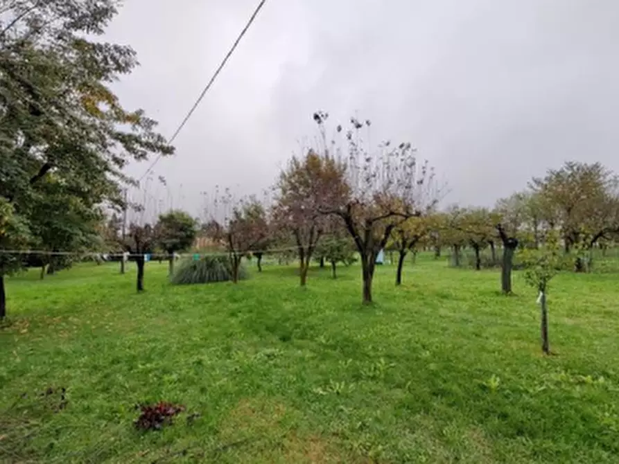 Immagine 16 di Casa indipendente in vendita  in via Merlo  a Imola