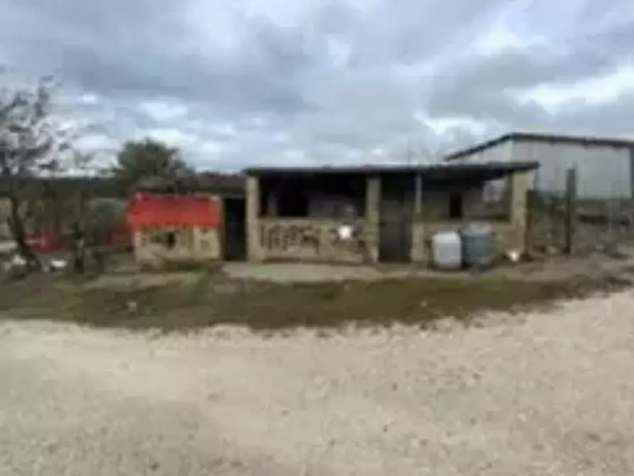 Immagine 3 di Terreno agricolo in vendita  in Via Forche di Tenna a Fermo