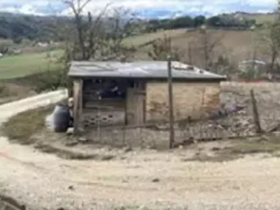 Immagine 4 di Terreno agricolo in vendita  in Via Forche di Tenna a Fermo