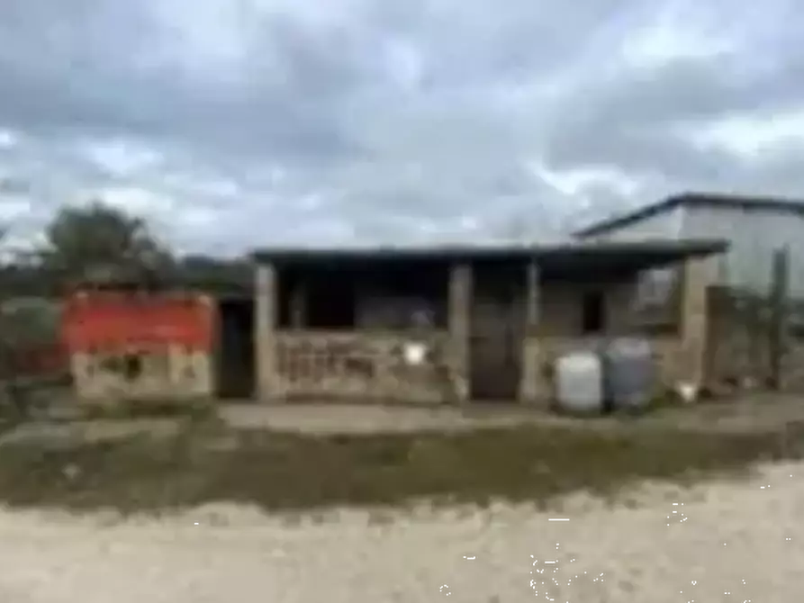 Immagine 5 di Terreno agricolo in vendita  in Via Forche di Tenna a Fermo