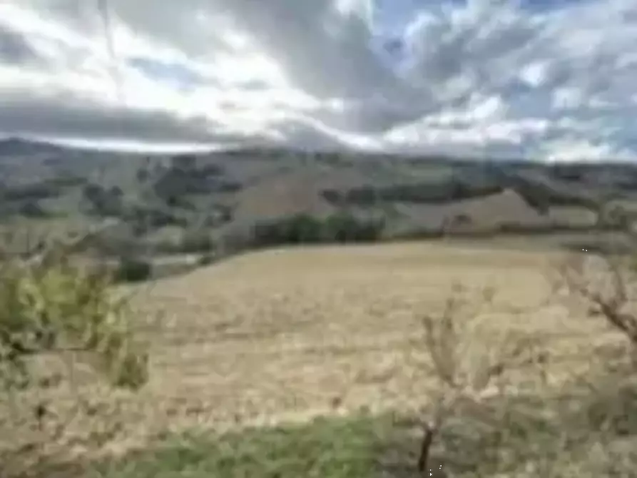 Immagine 10 di Terreno agricolo in vendita  in Via Forche di Tenna a Fermo