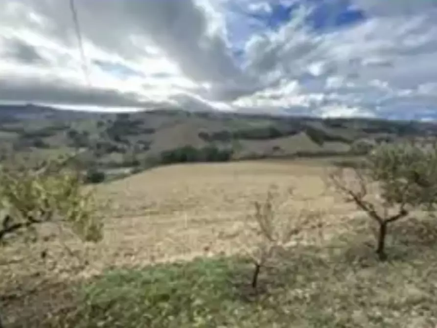 Immagine 11 di Terreno agricolo in vendita  in Via Forche di Tenna a Fermo