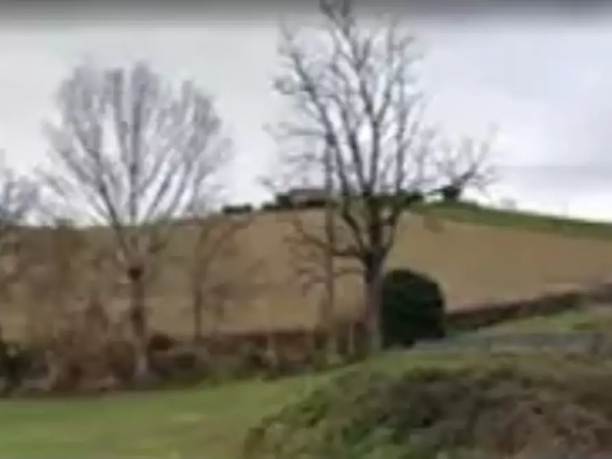 Immagine 7 di Terreno agricolo in vendita  in Via Forche di Tenna a Fermo