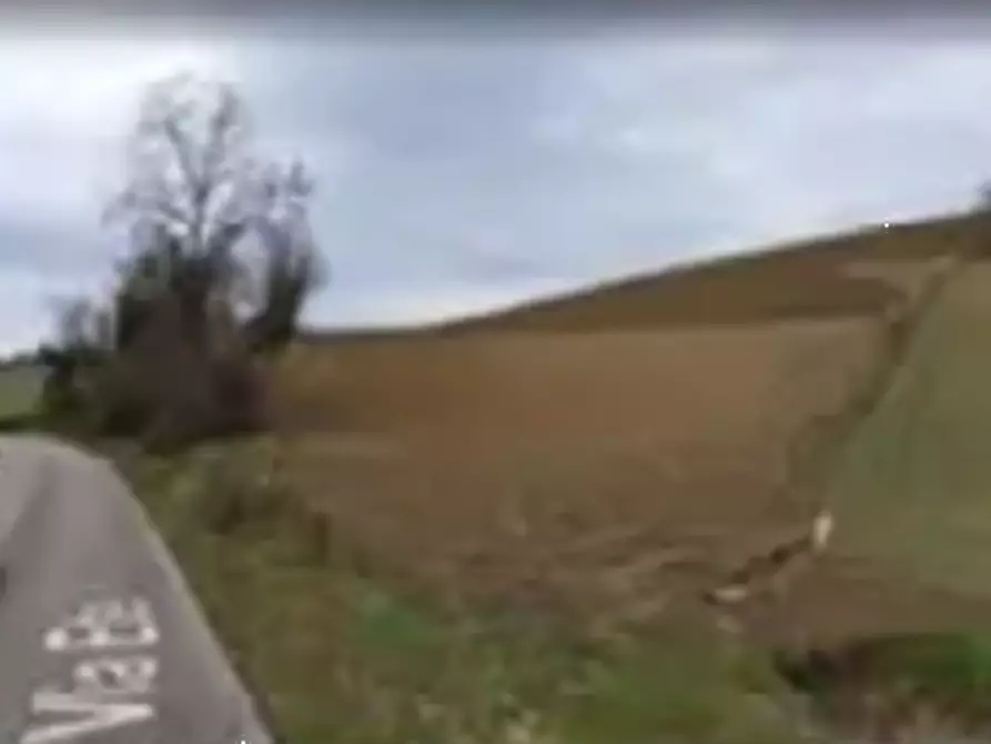 Immagine 8 di Terreno agricolo in vendita  in Via Forche di Tenna a Fermo