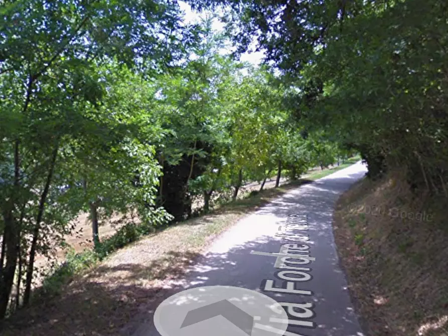 Immagine 13 di Terreno agricolo in vendita  in Via Forche di Tenna a Fermo