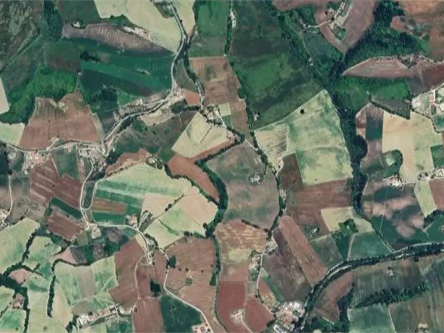 Immagine 14 di Terreno agricolo in vendita  in Via Forche di Tenna a Fermo