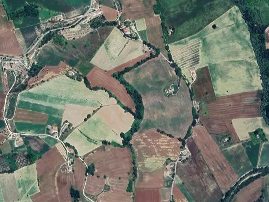 Immagine 16 di Terreno agricolo in vendita  in Via Forche di Tenna a Fermo