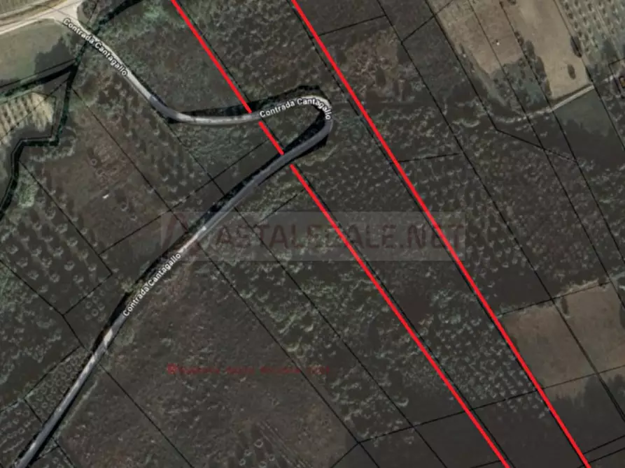 Immagine 2 di Terreno agricolo in vendita  in Fosso Cantagallo a Altidona