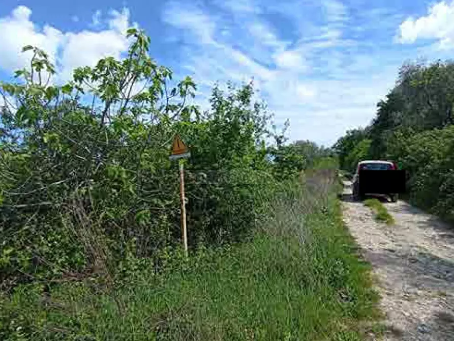 Immagine 3 di Terreno agricolo in vendita  in Fosso Cantagallo a Altidona