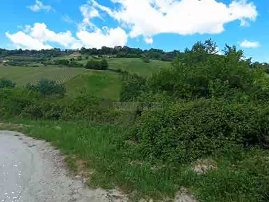 Immagine 1 di Terreno agricolo in vendita  in Fosso Cantagallo a Altidona