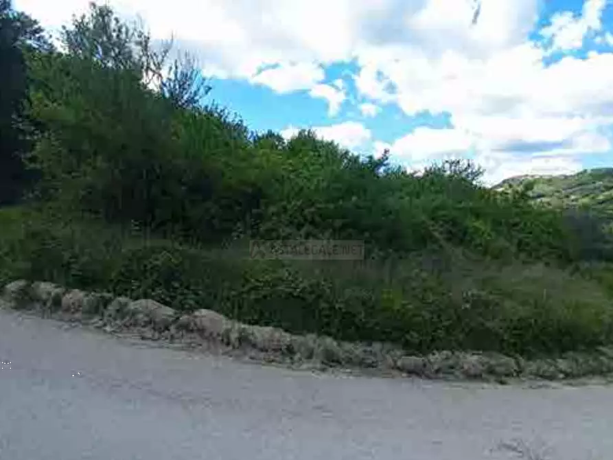 Immagine 5 di Terreno agricolo in vendita  in Fosso Cantagallo a Altidona