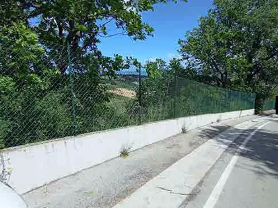 Immagine 6 di Terreno agricolo in vendita  in Fosso Cantagallo a Altidona