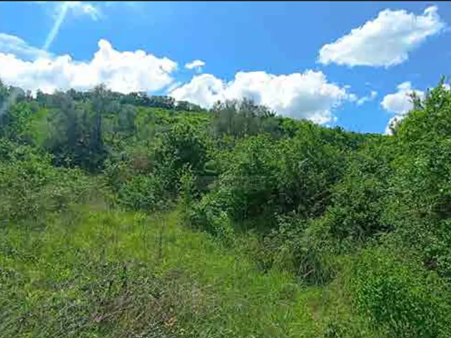 Immagine 7 di Terreno agricolo in vendita  in Fosso Cantagallo a Altidona