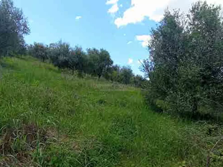 Immagine 8 di Terreno agricolo in vendita  in Fosso Cantagallo a Altidona