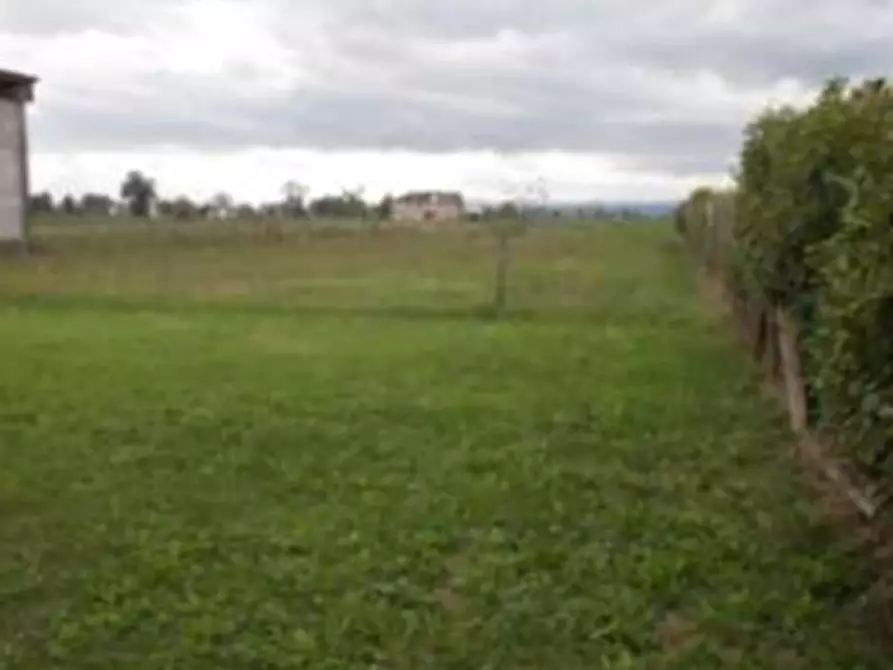 Immagine 17 di Porzione di casa in vendita  in Strada Provinciale a Busseto