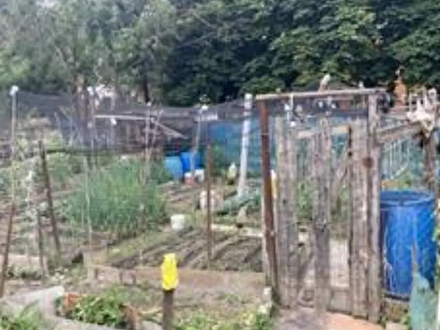 Immagine 2 di Terreno agricolo in vendita  in Strada della Venaria a Torino