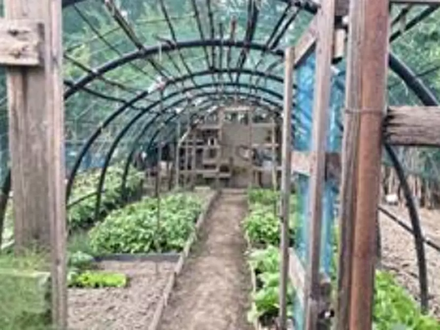 Immagine 1 di Terreno agricolo in vendita  in Strada della Venaria a Torino