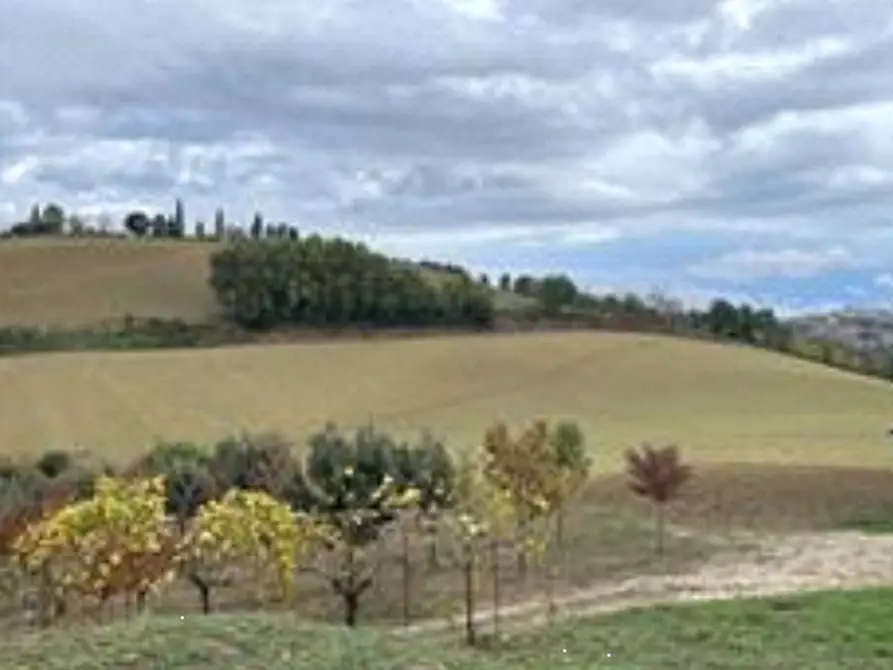 Immagine 1 di Terreno agricolo in vendita  in via Montebello a Montottone