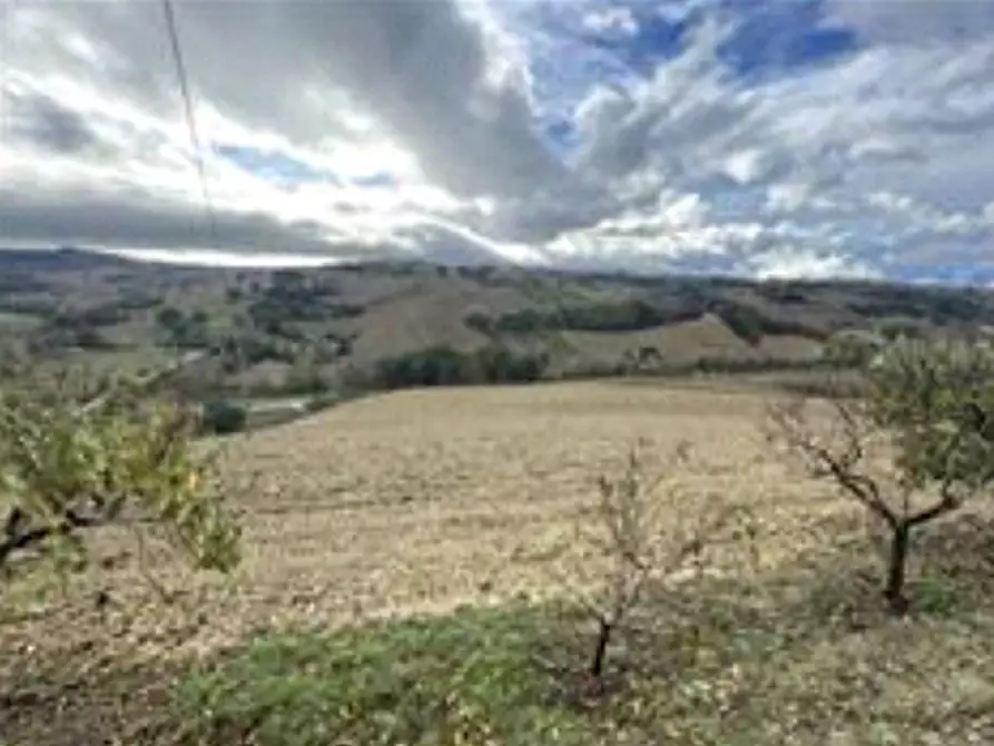 Immagine 2 di Terreno agricolo in vendita  in via Montebello a Montottone