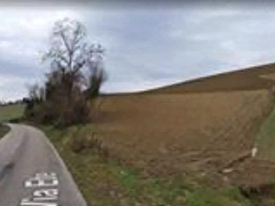 Immagine 3 di Terreno agricolo in vendita  in via Montebello a Montottone