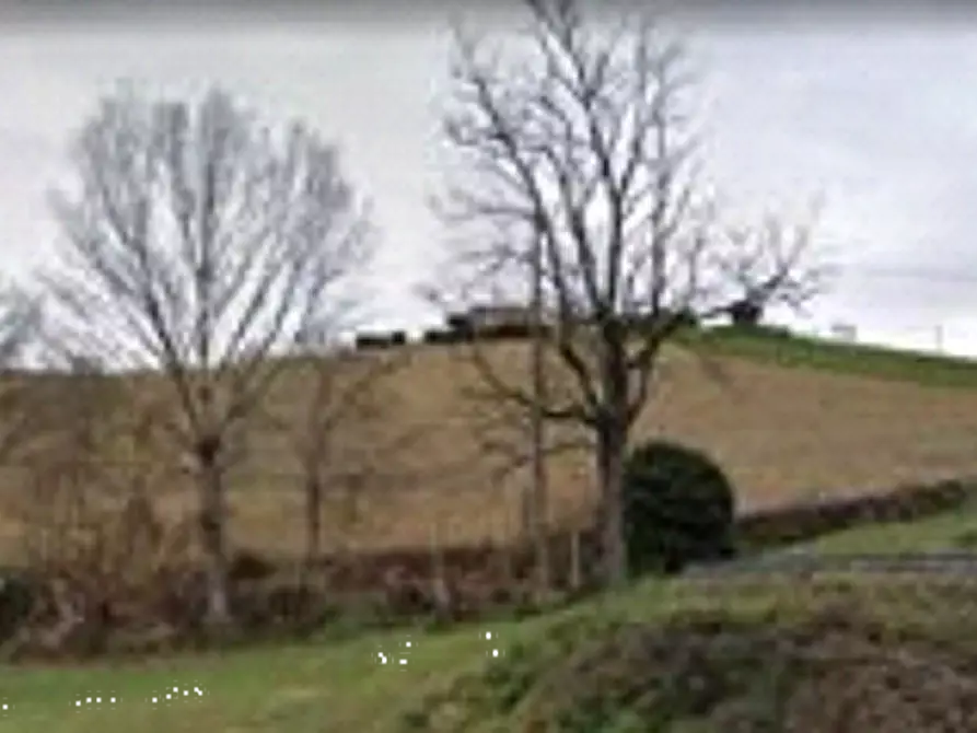 Immagine 4 di Terreno agricolo in vendita  in via Montebello a Montottone