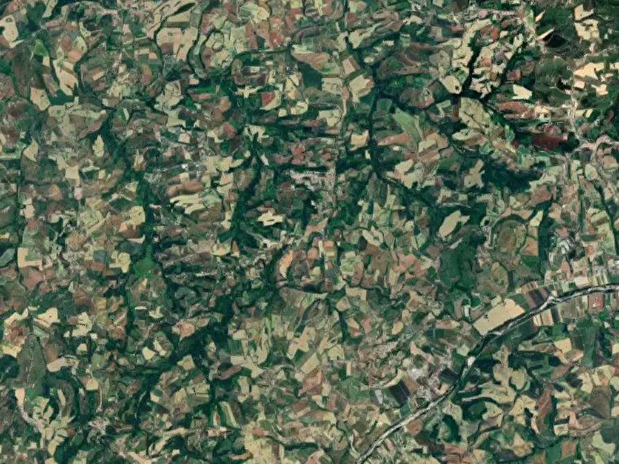 Immagine 7 di Terreno agricolo in vendita  in via Montebello a Montottone