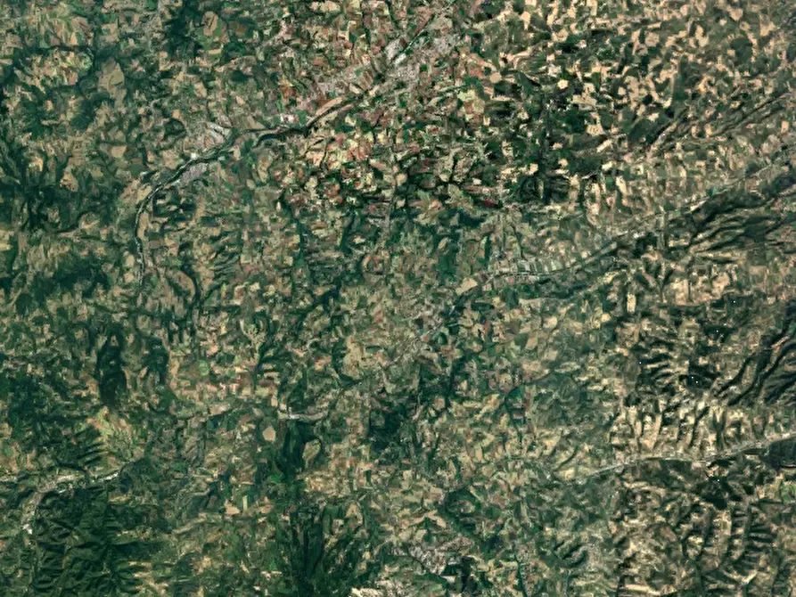 Immagine 8 di Terreno agricolo in vendita  in via Montebello a Montottone