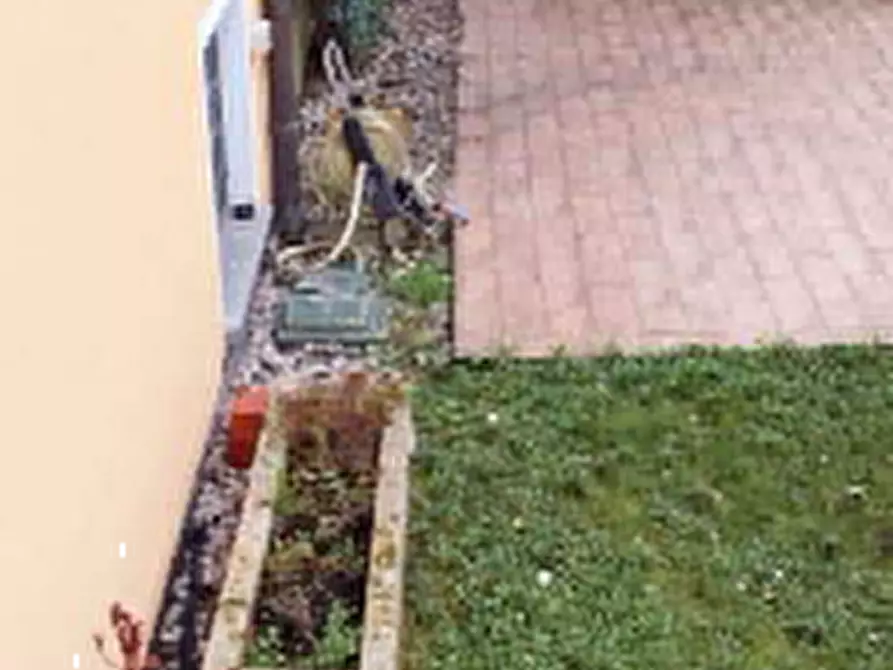 Immagine 13 di Porzione di casa in vendita  in Via Valli Valsanzibio  a Galzignano Terme