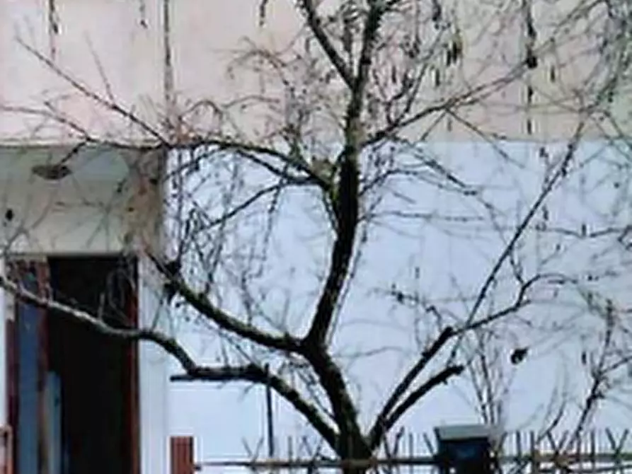 Immagine 13 di Porzione di casa in vendita  in Via C Colombo  a Noventa Padovana
